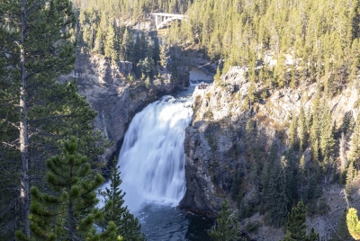 Upper Falls Yellowstone River 2024